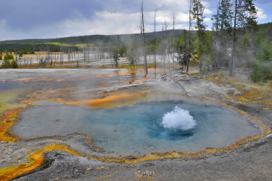 Source thermale (Yellowstone NP, Wyoming, USA) 